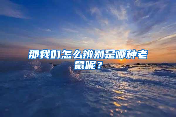 那我們怎么辨別是哪種老鼠呢？