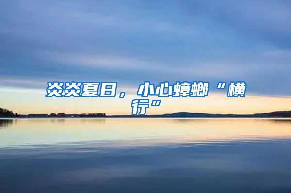 炎炎夏日，小心蟑螂“橫行”