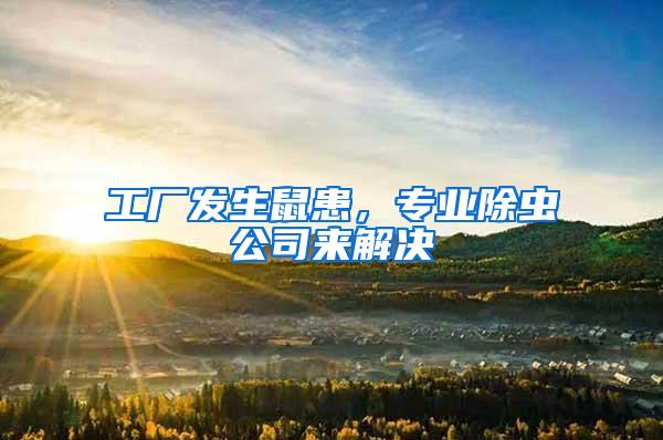 工廠發(fā)生鼠患，專業(yè)除蟲公司來(lái)解決