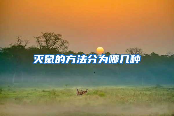 滅鼠的方法分為哪幾種