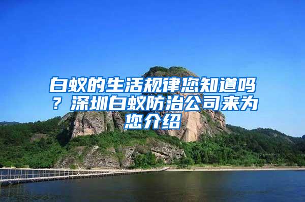 白蟻的生活規(guī)律您知道嗎？深圳白蟻防治公司來為您介紹