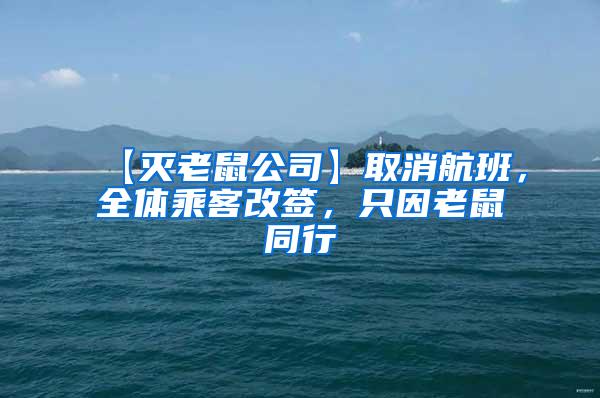 【滅老鼠公司】取消航班，全體乘客改簽，只因老鼠同行