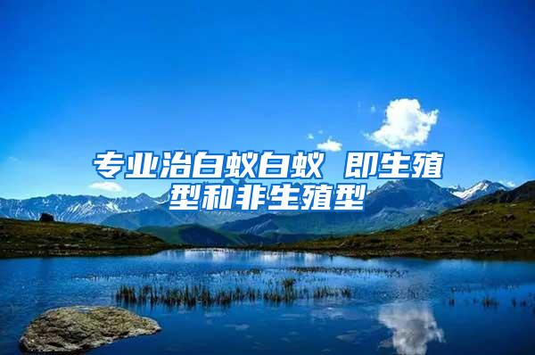 專業(yè)治白蟻白蟻 即生殖型和非生殖型