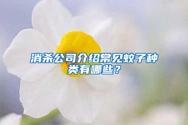 消殺公司介紹常見(jiàn)蚊子種類有哪些？