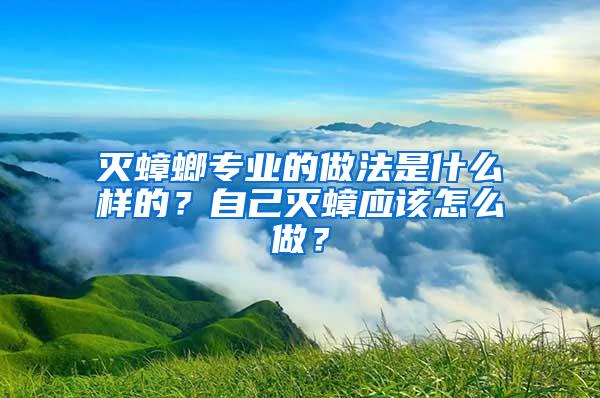滅蟑螂專業(yè)的做法是什么樣的？自己滅蟑應(yīng)該怎么做？