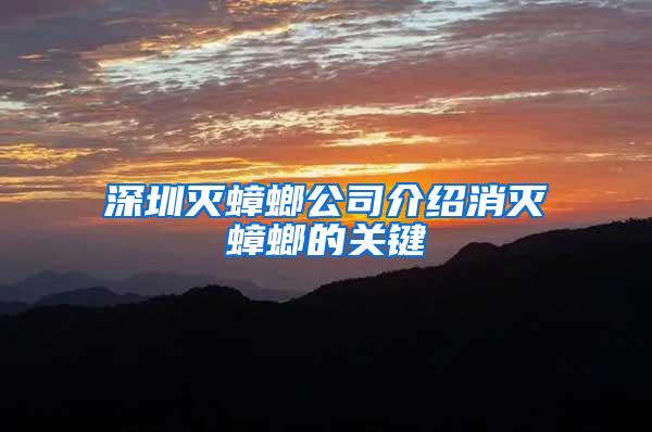 深圳滅蟑螂公司介紹消滅蟑螂的關鍵