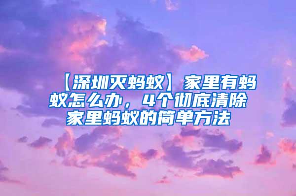 【深圳滅螞蟻】家里有螞蟻怎么辦，4個徹底清除家里螞蟻的簡單方法