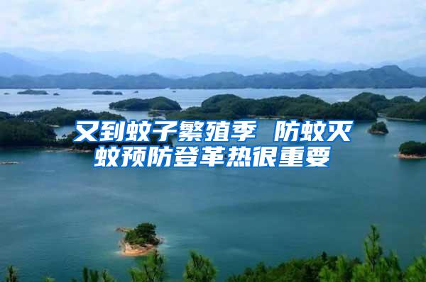 又到蚊子繁殖季 防蚊滅蚊預(yù)防登革熱很重要