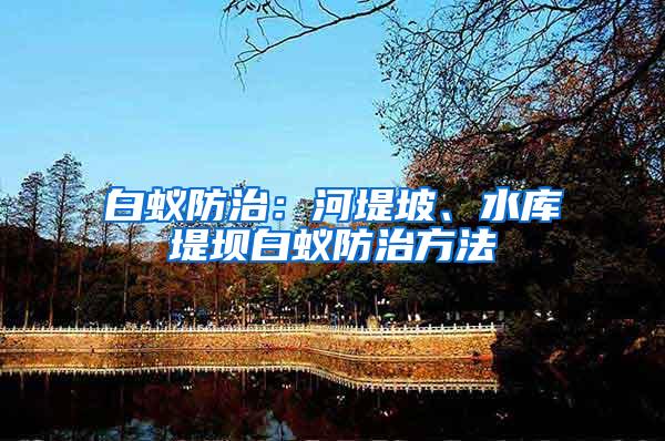 白蟻防治：河堤坡、水庫(kù)堤壩白蟻防治方法