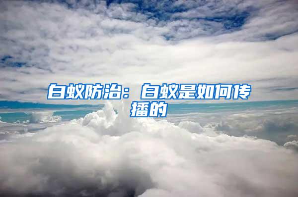 白蟻防治:白蟻是如何傳播的