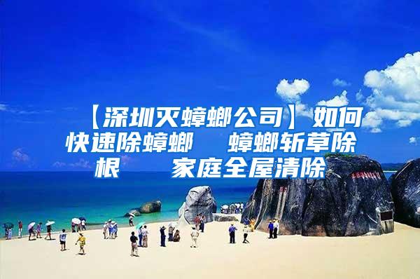 【深圳滅蟑螂公司】如何快速除蟑螂 蟑螂斬草除根 家庭全屋清除