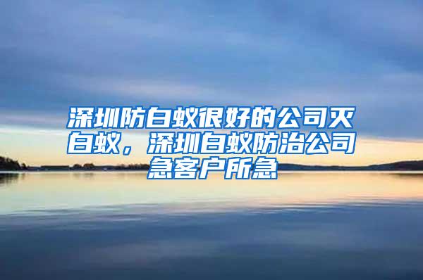 深圳防白蟻很好的公司滅白蟻，深圳白蟻防治公司急客戶所急
