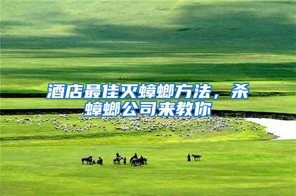 酒店最佳滅蟑螂方法,殺蟑螂公司來教你