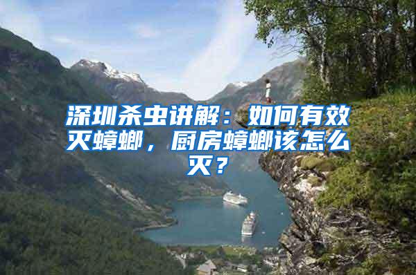 深圳殺蟲講解：如何有效滅蟑螂，廚房蟑螂該怎么滅？