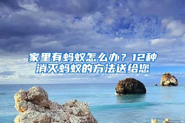 家里有螞蟻怎么辦？12種消滅螞蟻的方法送給您