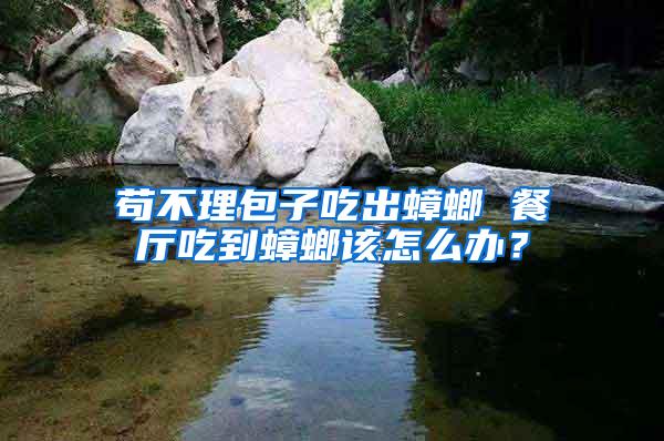茍不理包子吃出蟑螂 餐廳吃到蟑螂該怎么辦？