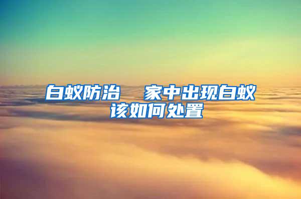 白蟻防治 家中出現(xiàn)白蟻 該如何處置