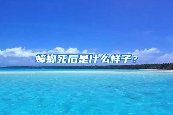 蟑螂死后是什么樣子?