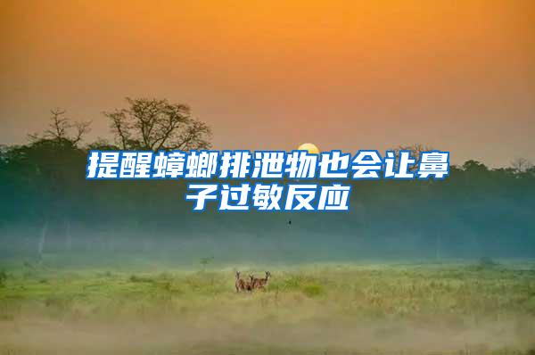 提醒蟑螂排泄物也會(huì)讓鼻子過敏反應(yīng)