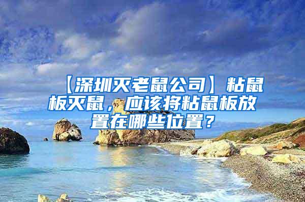 【深圳滅老鼠公司】粘鼠板滅鼠，應(yīng)該將粘鼠板放置在哪些位置？